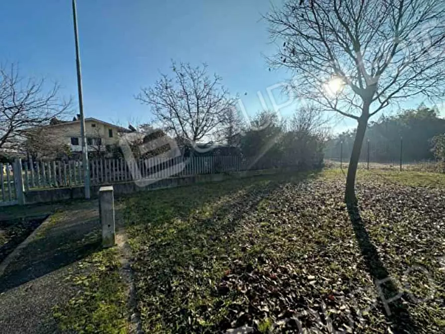 Immagine 4 di Terreno in vendita  in Via Pozza 2A a Cerea