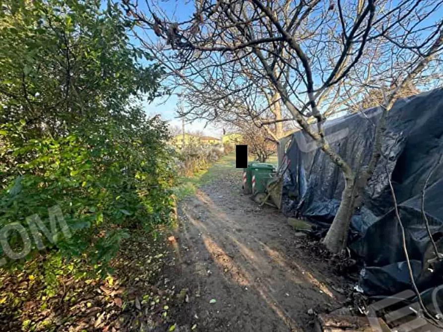 Immagine 11 di Terreno in vendita  in Via Pozza 2A a Cerea
