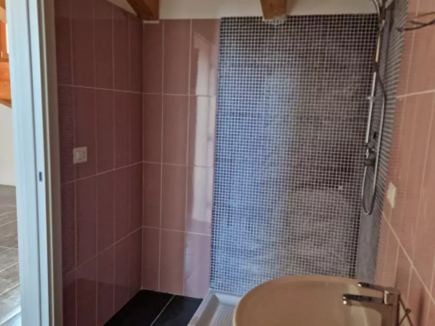 Immagine 21 di Appartamento in vendita  in Via del Bosco a Chioggia