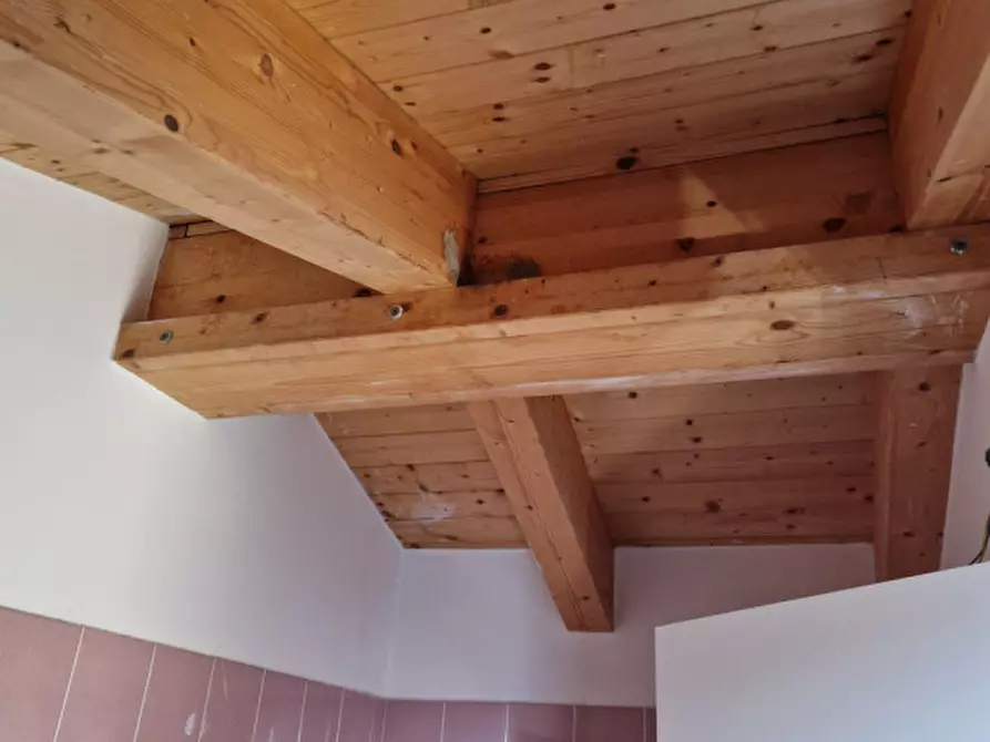 Immagine 23 di Appartamento in vendita  in Via del Bosco a Chioggia