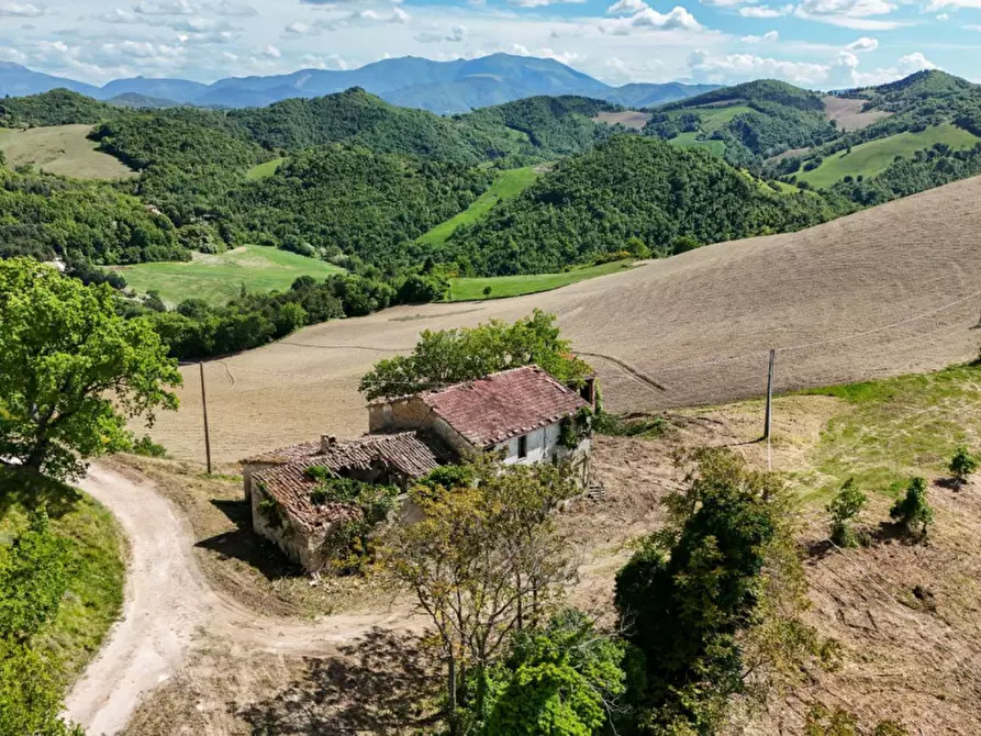 Immagine 3 di Rustico / casale in vendita  in Ca' Montone a Urbino
