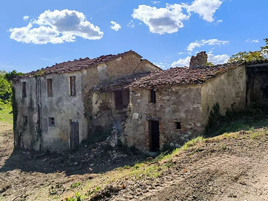 Immagine 5 di Rustico / casale in vendita  in Ca' Montone a Urbino