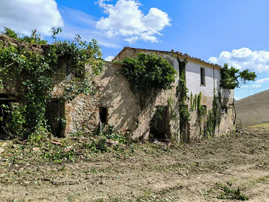 Immagine 6 di Rustico / casale in vendita  in Ca' Montone a Urbino