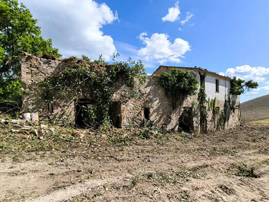 Immagine 7 di Rustico / casale in vendita  in Ca' Montone a Urbino
