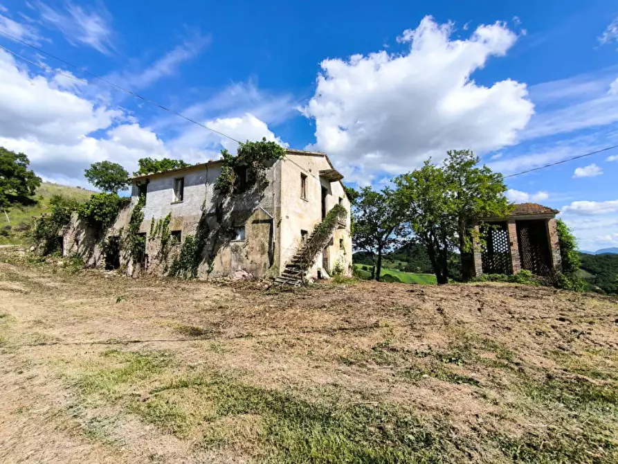 Immagine 9 di Rustico / casale in vendita  in Ca' Montone a Urbino