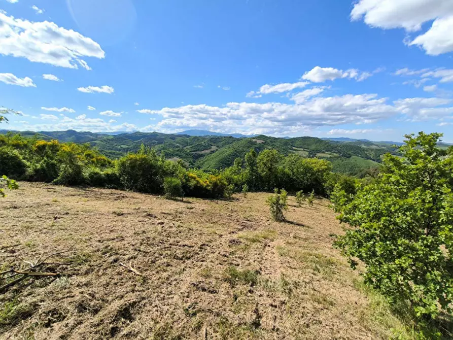 Immagine 10 di Rustico / casale in vendita  in Ca' Montone a Urbino