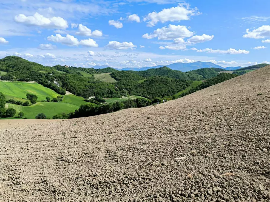 Immagine 11 di Rustico / casale in vendita  in Ca' Montone a Urbino