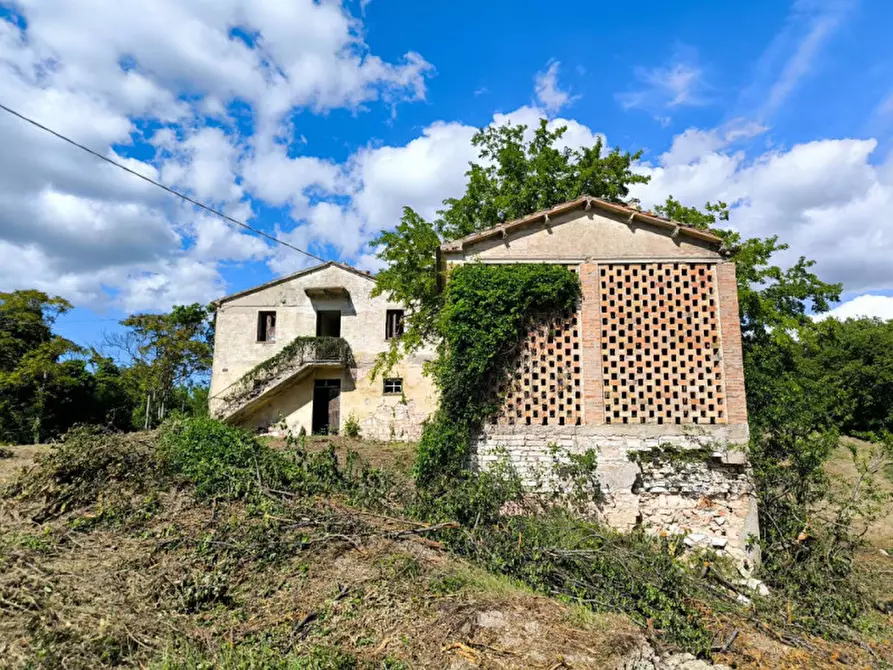 Immagine 12 di Rustico / casale in vendita  in Ca' Montone a Urbino