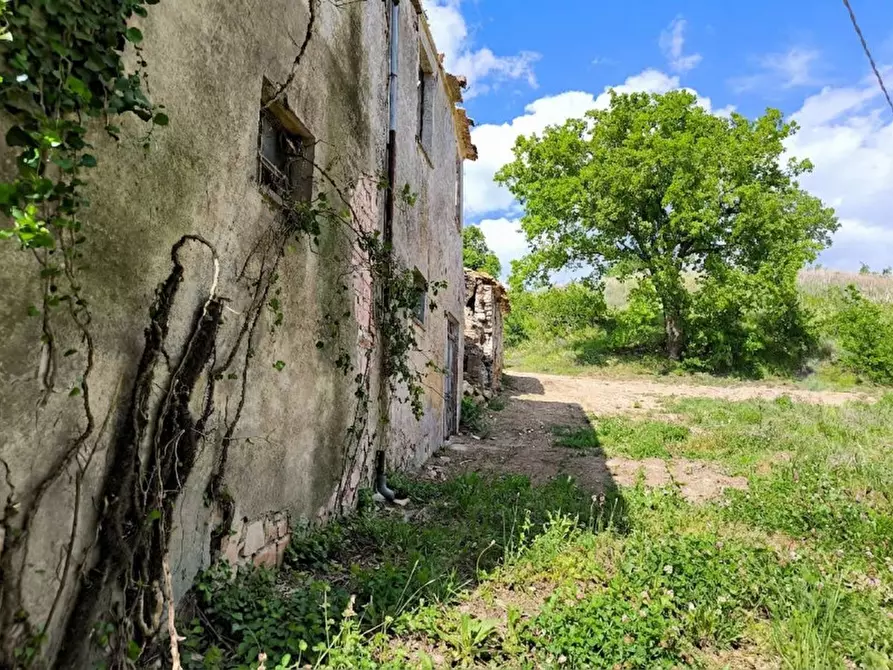 Immagine 14 di Rustico / casale in vendita  in Ca' Montone a Urbino