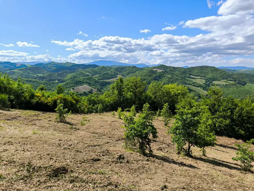 Immagine 15 di Rustico / casale in vendita  in Ca' Montone a Urbino