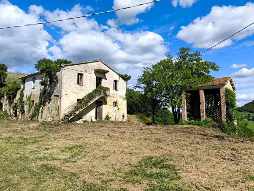 Immagine 17 di Rustico / casale in vendita  in Ca' Montone a Urbino