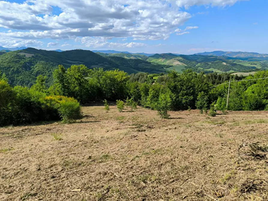 Immagine 18 di Rustico / casale in vendita  in Ca' Montone a Urbino
