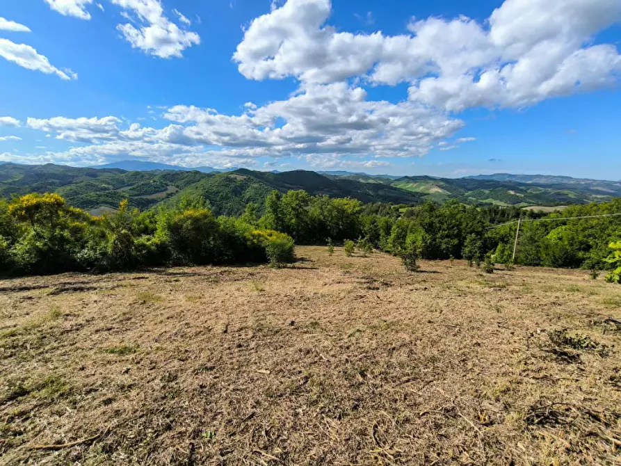 Immagine 19 di Rustico / casale in vendita  in Ca' Montone a Urbino
