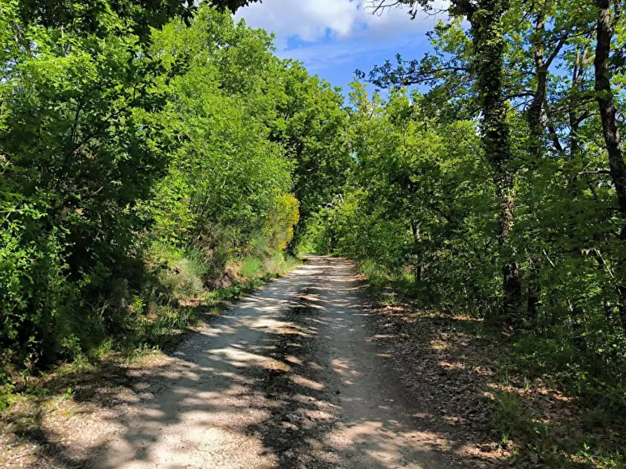 Immagine 20 di Rustico / casale in vendita  in Ca' Montone a Urbino