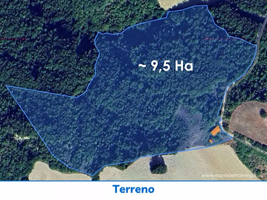 Immagine 21 di Rustico / casale in vendita  in Ca' Montone a Urbino