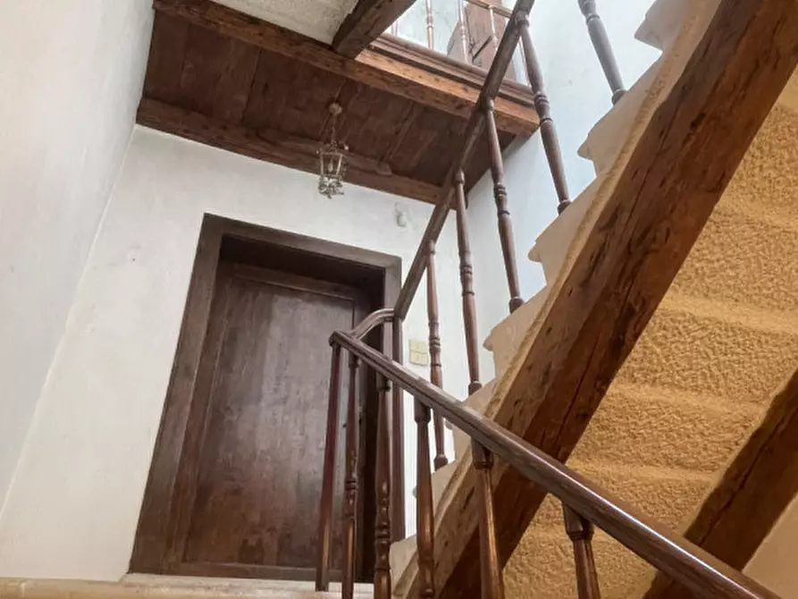 Immagine 41 di Villa in vendita  in Via Rusteghello a Piove Di Sacco