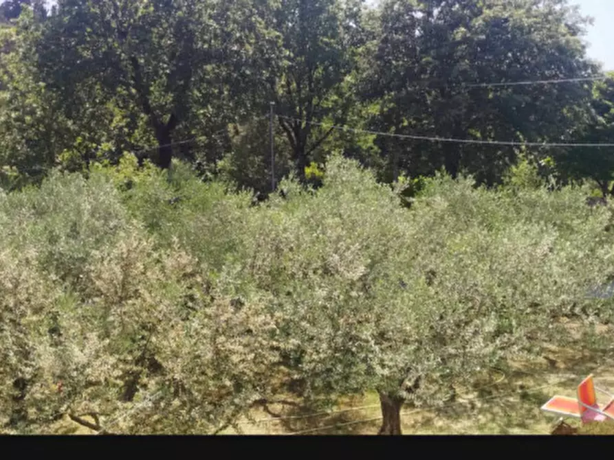 Immagine 30 di Appartamento in affitto  a Santarcangelo Di Romagna