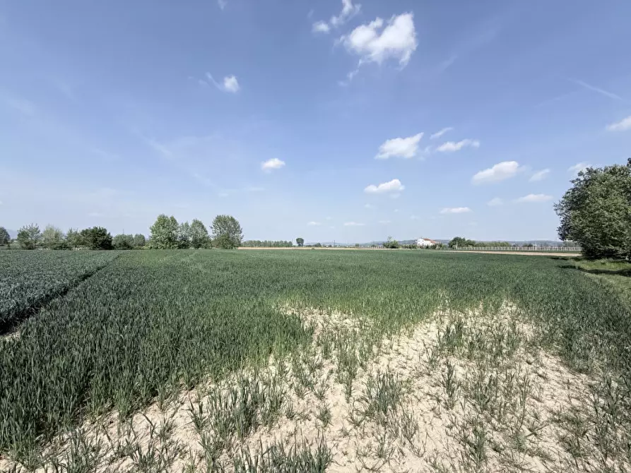 Immagine 1 di Terreno in vendita  a Zimella