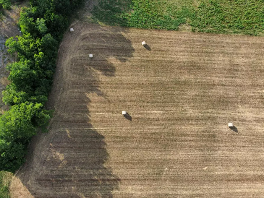 Immagine 1 di Terreno in vendita  in via nazionale a Canaro