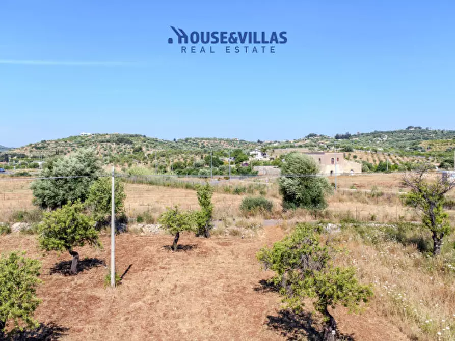 Immagine 6 di Terreno in vendita  in contrada falconara a Noto