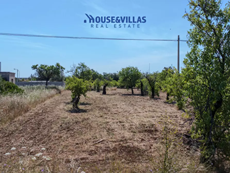 Immagine 8 di Terreno in vendita  in contrada falconara a Noto