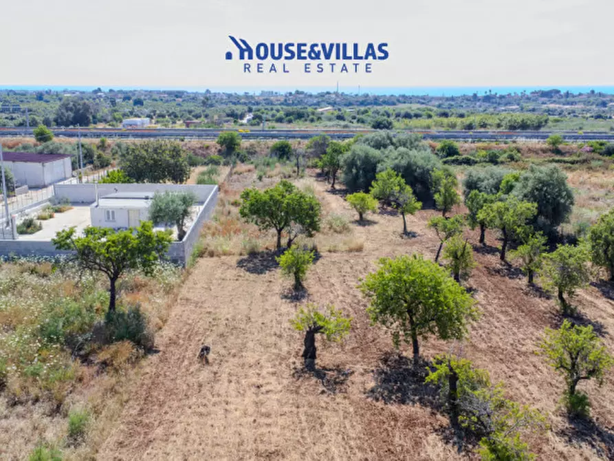 Immagine 10 di Terreno in vendita  in contrada falconara a Noto