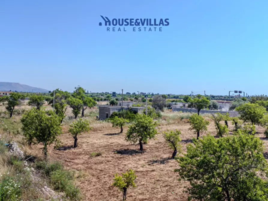 Immagine 14 di Terreno in vendita  in contrada falconara a Noto