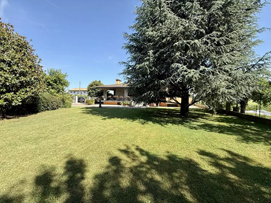 Immagine 2 di Casa indipendente in vendita  in Via Giorgione a Trevignano