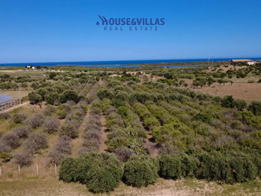 Immagine 1 di Terreno in vendita  in sp19 a Noto