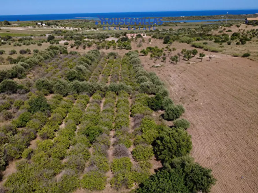 Immagine 6 di Terreno in vendita  in sp19 a Noto