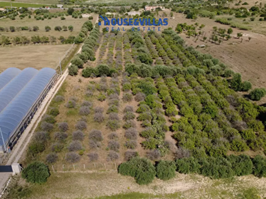 Immagine 7 di Terreno in vendita  in sp19 a Noto