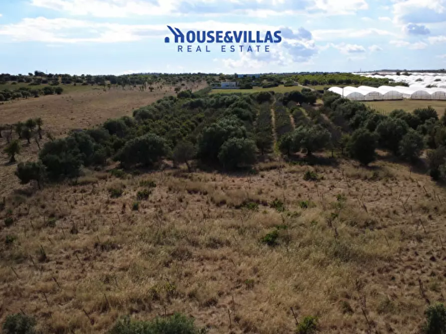 Immagine 8 di Terreno in vendita  in sp19 a Noto