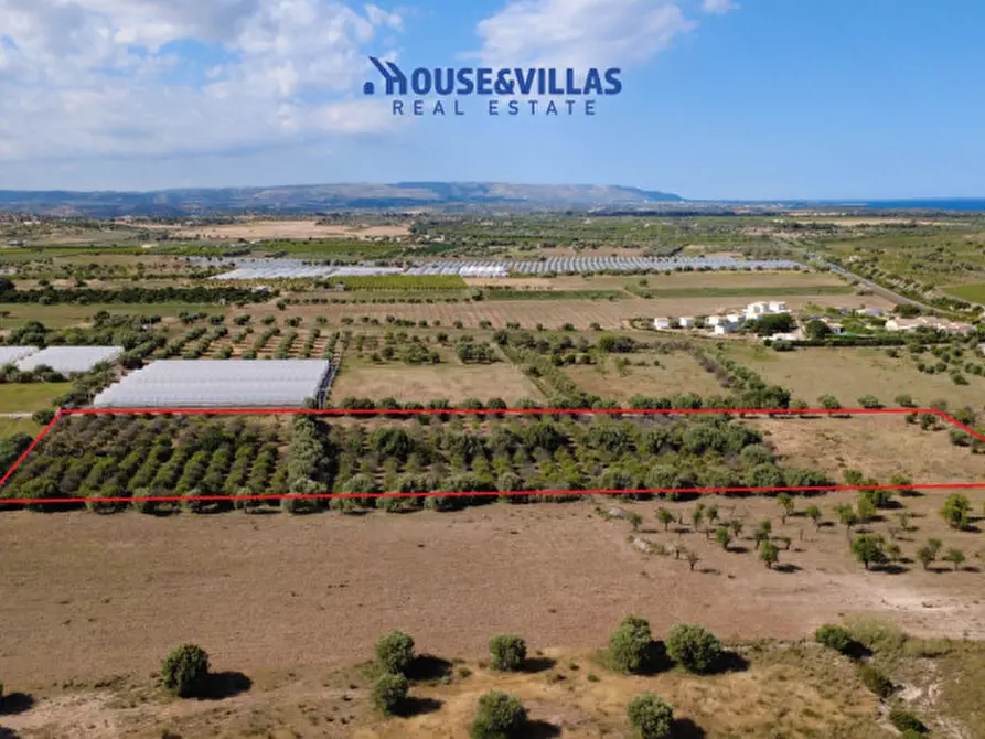 Immagine 17 di Terreno in vendita  in sp19 a Noto
