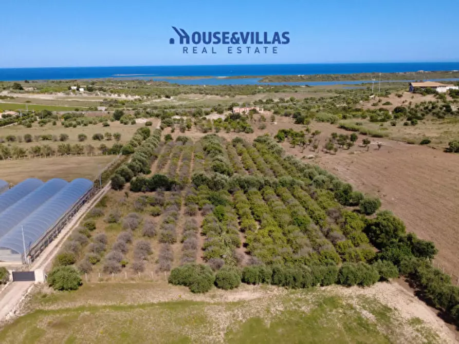 Immagine 20 di Terreno in vendita  in sp19 a Noto