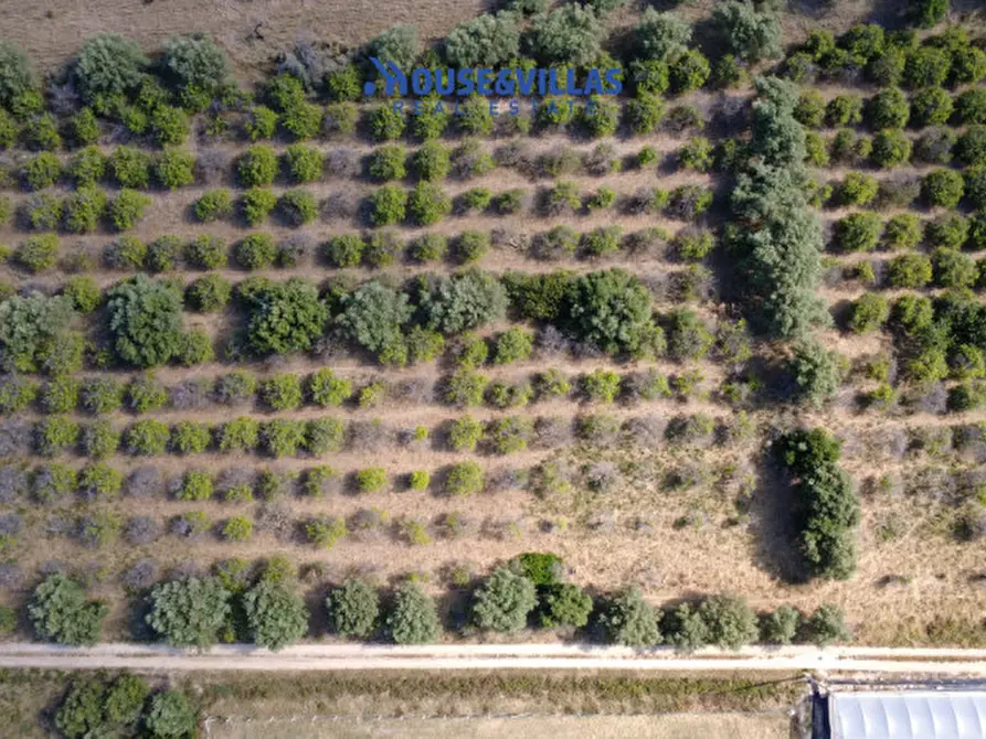 Immagine 23 di Terreno in vendita  in sp19 a Noto