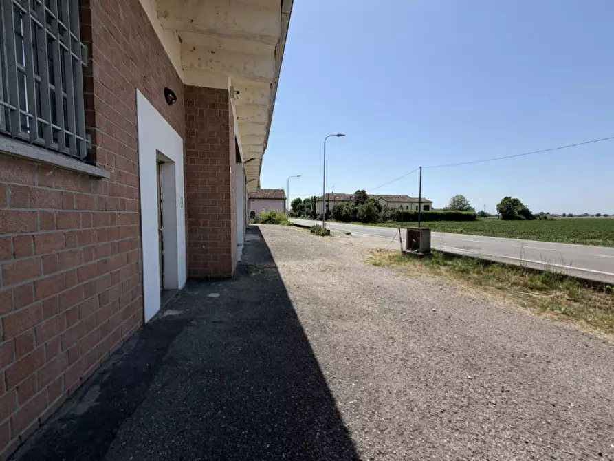 Immagine 4 di Magazzino in vendita  in Strada Provinciale per Golese, 96 a Torrile