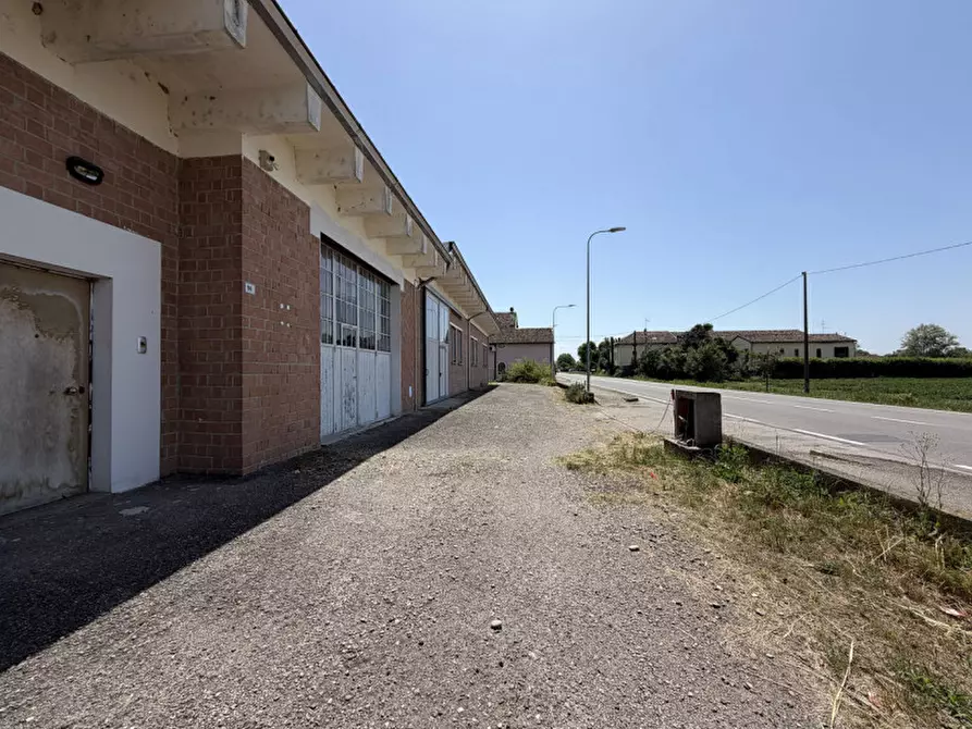 Immagine 25 di Magazzino in vendita  in Strada Provinciale per Golese, 96 a Torrile