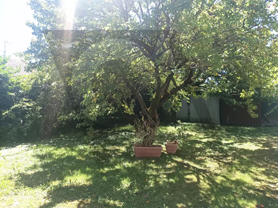 Immagine 31 di Casa trifamiliare in vendita  in Via Anconetta 30 a San Giorgio Delle Pertiche