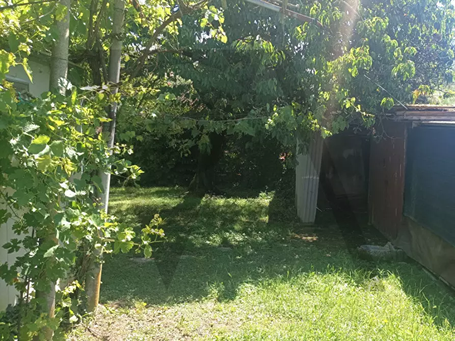 Immagine 32 di Casa trifamiliare in vendita  in Via Anconetta 30 a San Giorgio Delle Pertiche