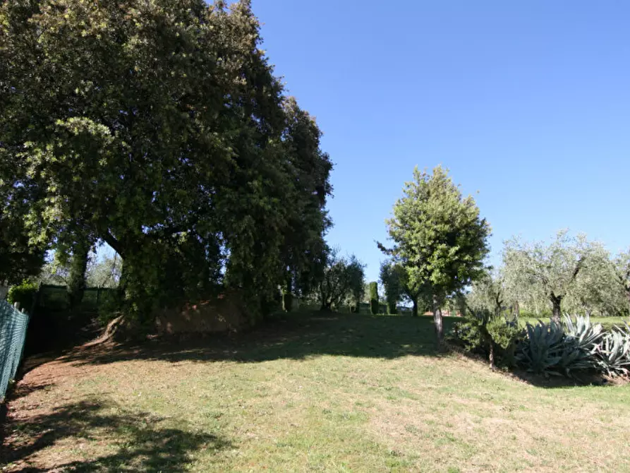 Immagine 6 di Villa in vendita  a Sinalunga