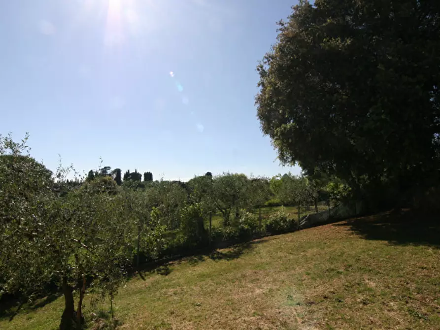 Immagine 27 di Villa in vendita  a Sinalunga