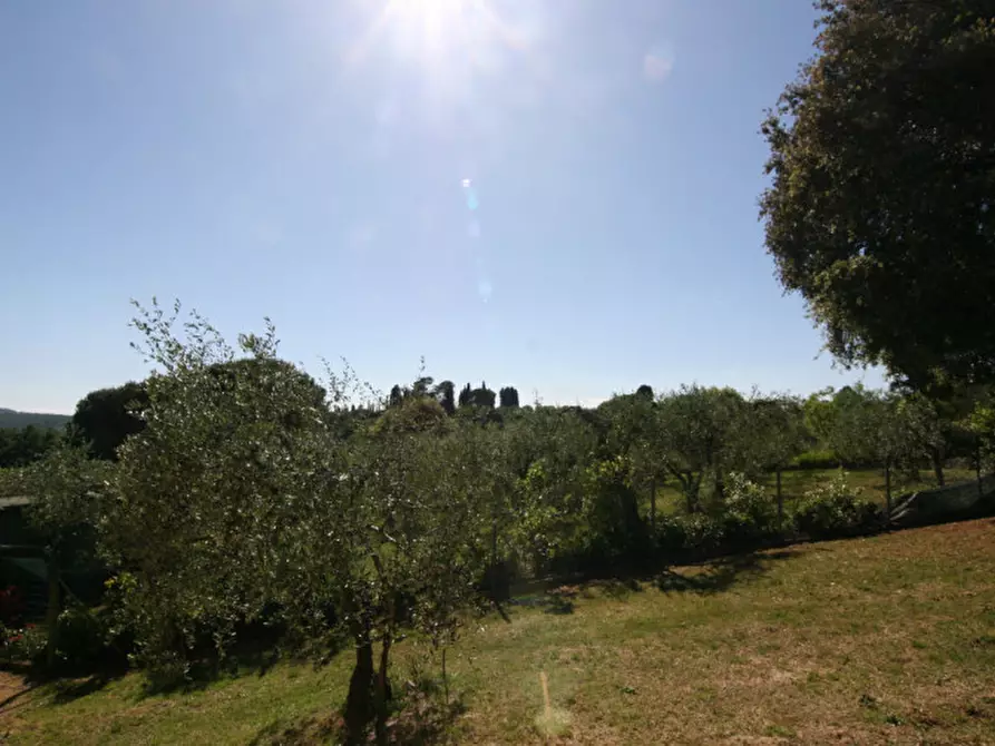 Immagine 28 di Villa in vendita  a Sinalunga