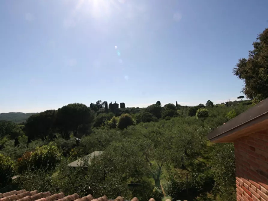Immagine 36 di Villa in vendita  a Sinalunga