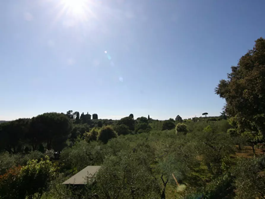 Immagine 38 di Villa in vendita  a Sinalunga