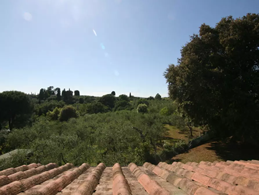 Immagine 50 di Villa in vendita  a Sinalunga