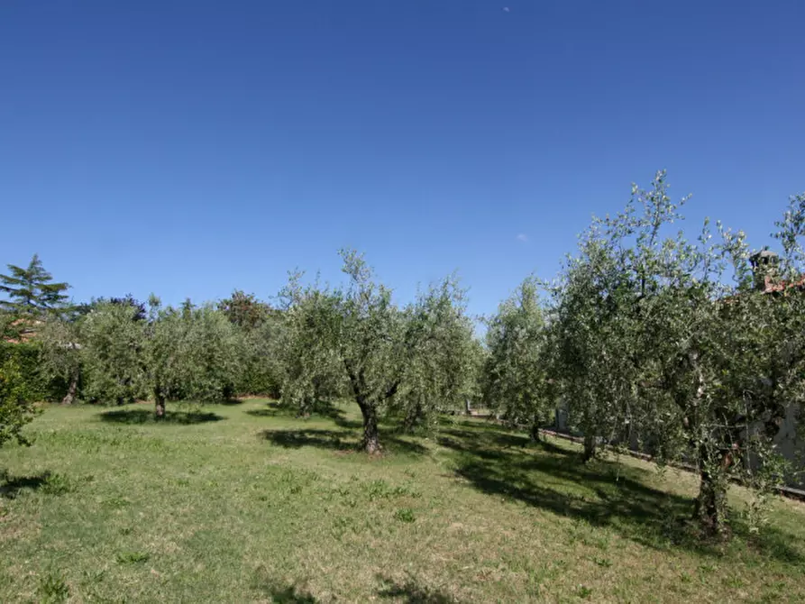 Immagine 59 di Villa in vendita  a Sinalunga