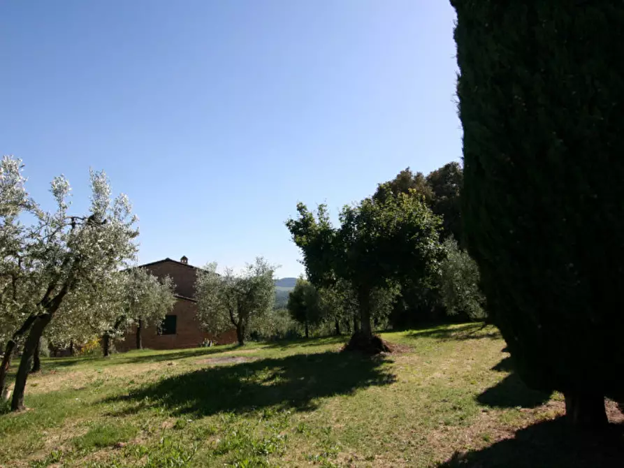 Immagine 61 di Villa in vendita  a Sinalunga