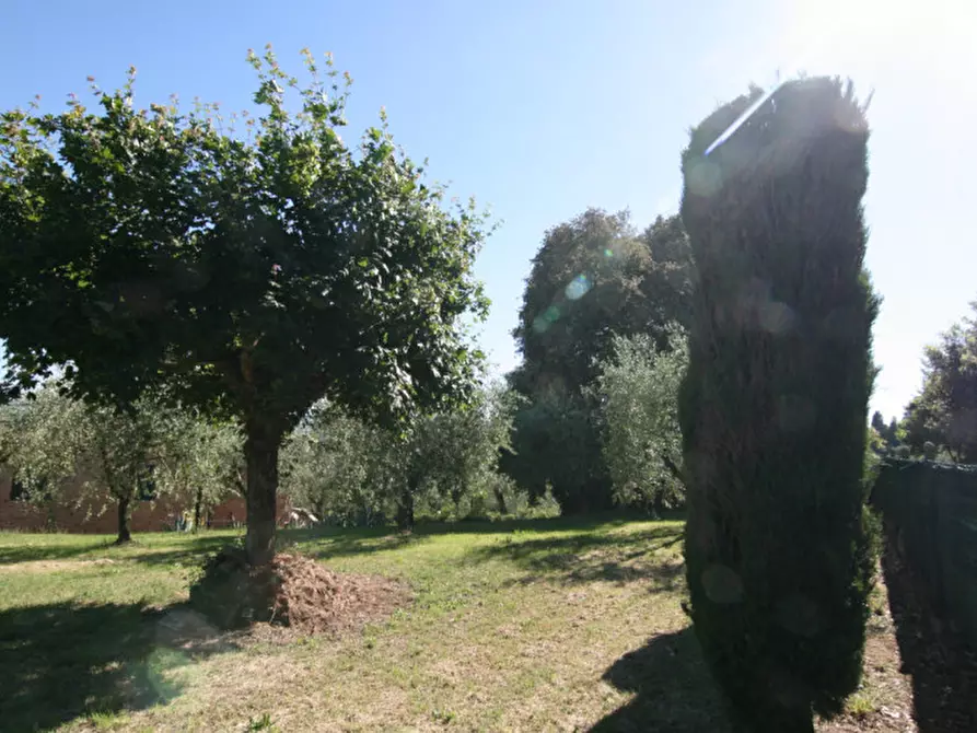 Immagine 62 di Villa in vendita  a Sinalunga