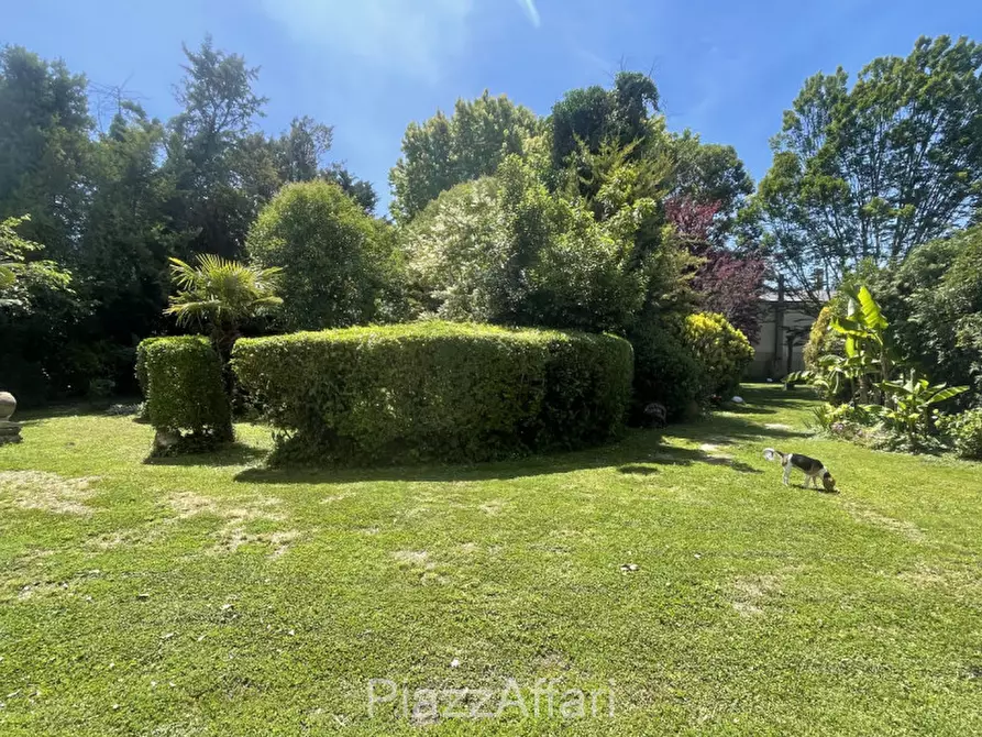 Immagine 8 di Villa in vendita  in Via Rusteghello a Piove Di Sacco