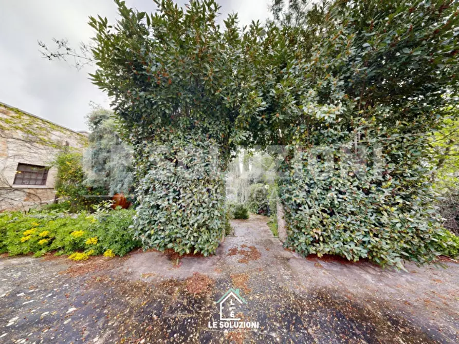 Immagine 25 di Villa in vendita  in Strada comunale Pozzo lo Pico I 30 a Putignano